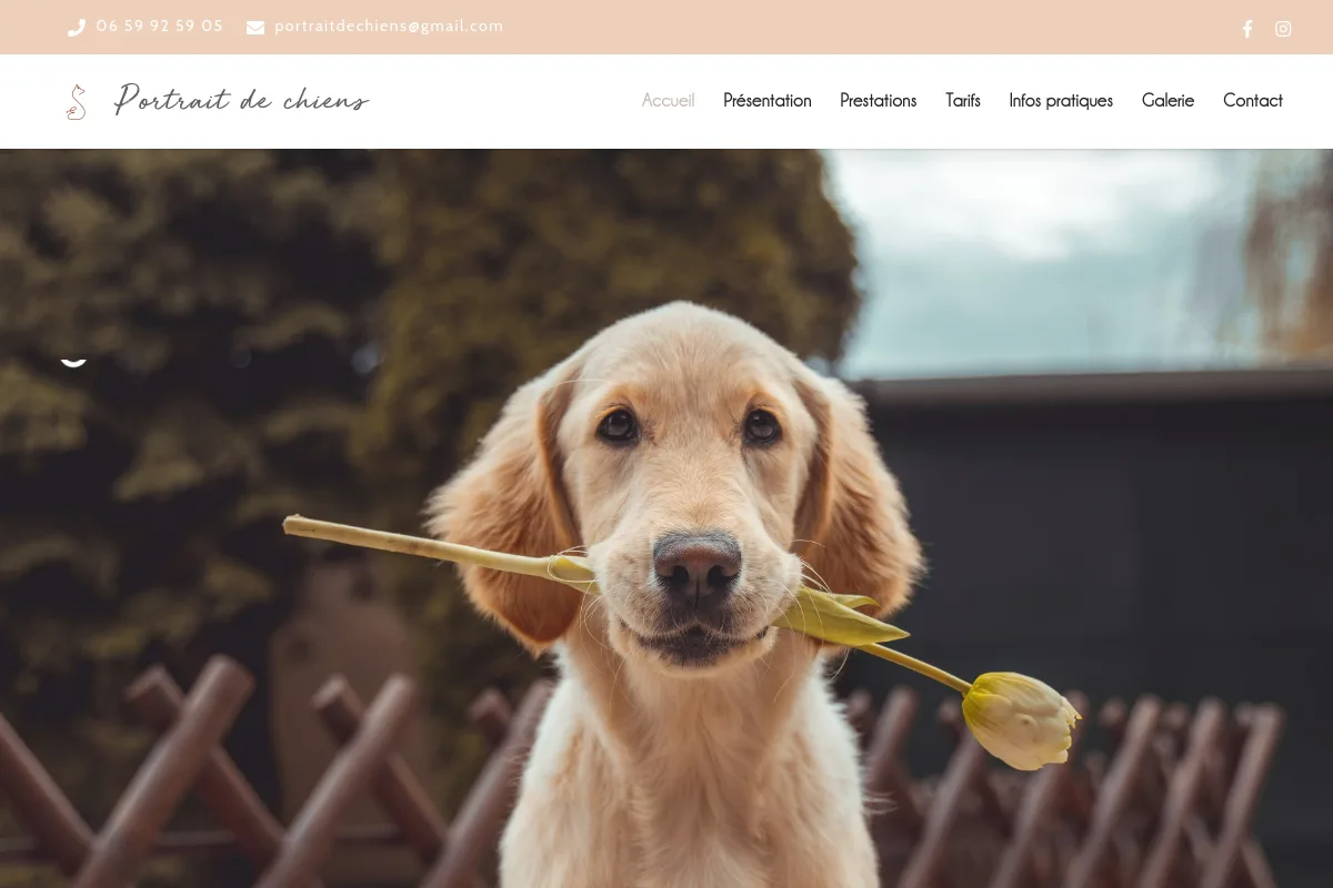 Portrait de Chiens